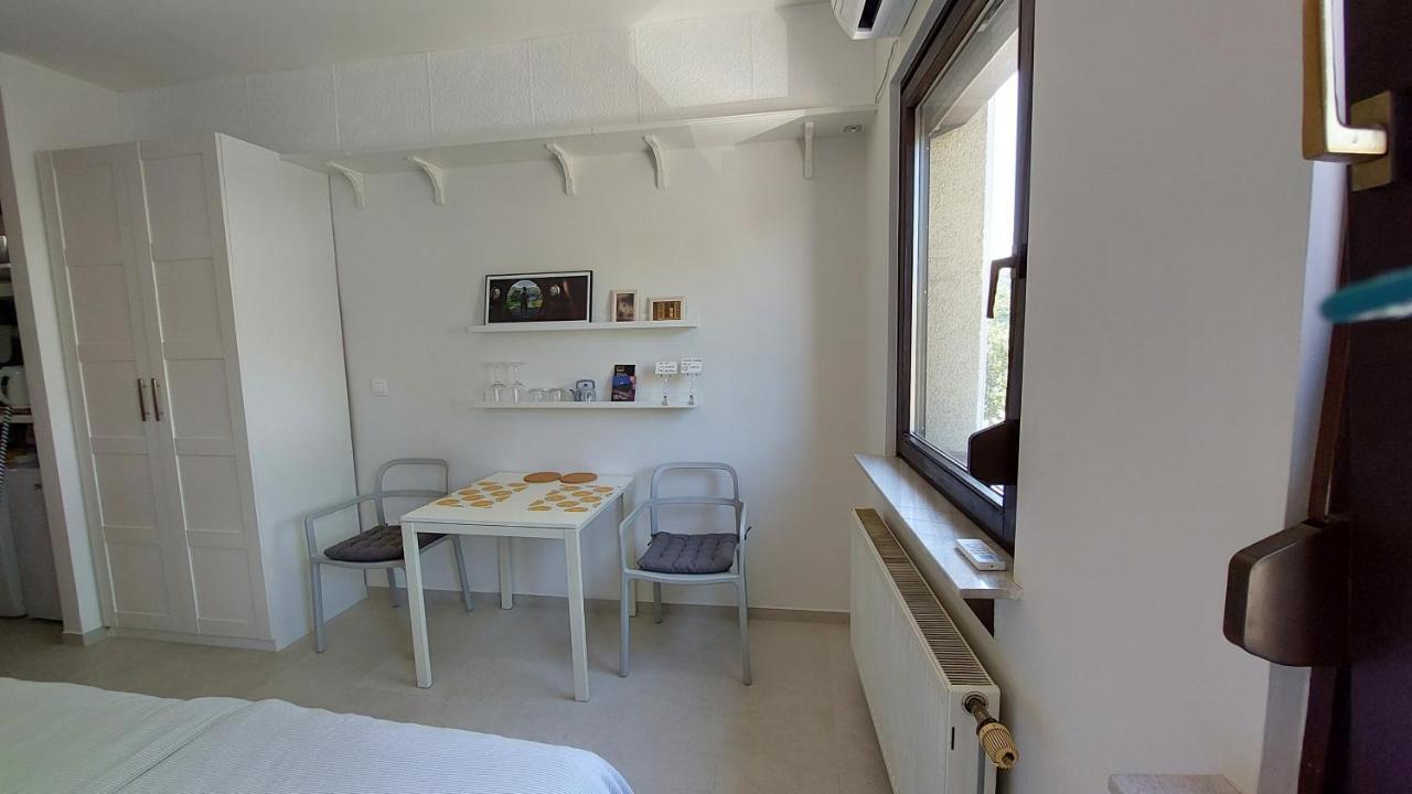 Cozy, Bright And Affordable Studio W/ Free Parking Lublaň Exteriér fotografie