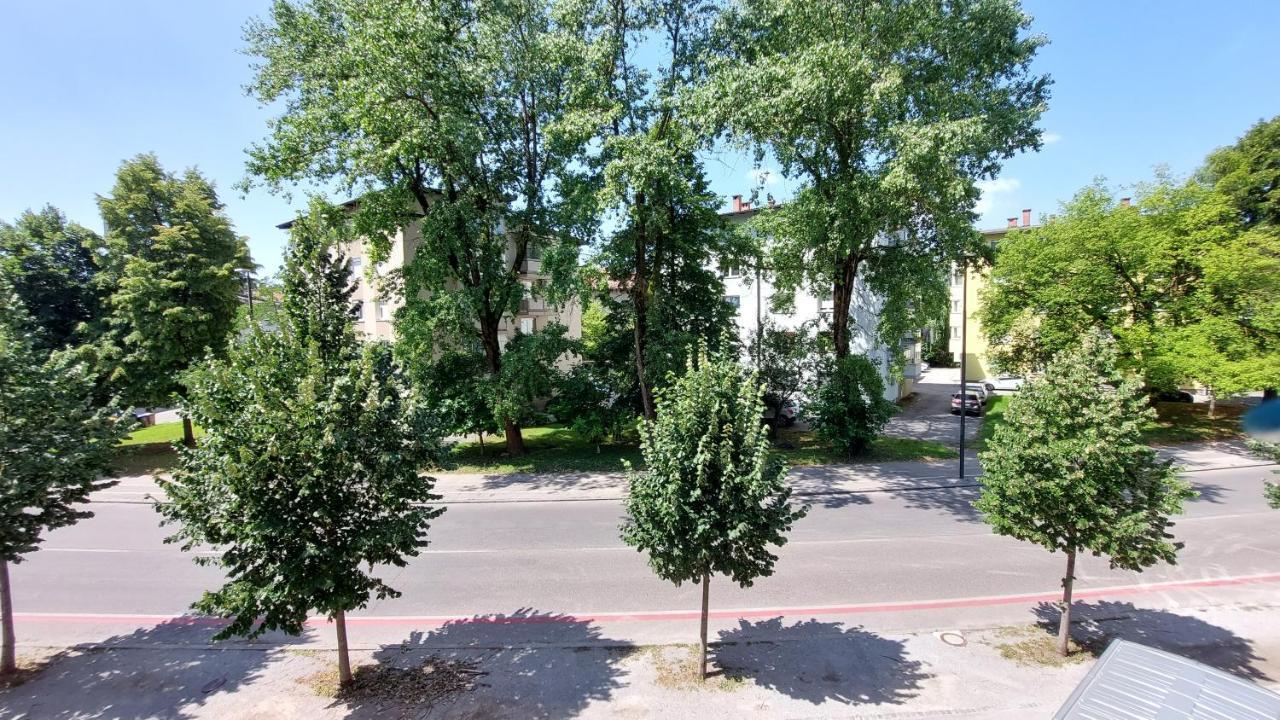 Cozy, Bright And Affordable Studio W/ Free Parking Lublaň Exteriér fotografie